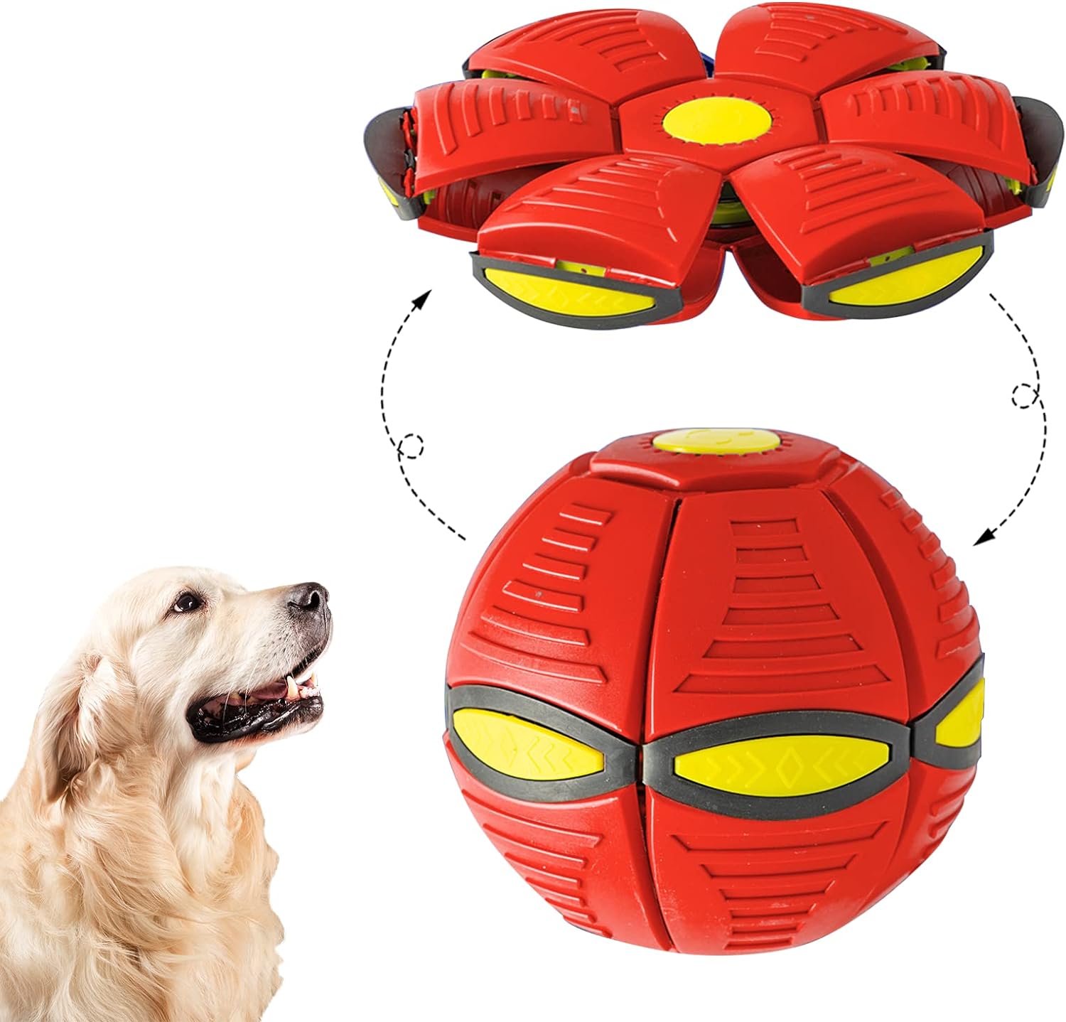 Pet Flying Ball, 7 Lights Included