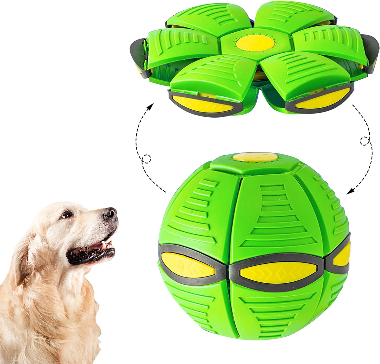 Pet Flying Ball, 7 Lights Included